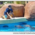 Marineland - Lagoon - Rencontre avec les dauphins - 6426