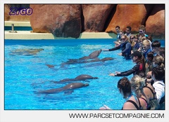 Marineland - Lagoon - Rencontre avec les dauphins - 6427