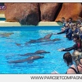 Marineland - Lagoon - Rencontre avec les dauphins - 6427