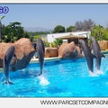 Marineland - Lagoon - Rencontre avec les dauphins - 6428