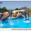 Marineland - Lagoon - Rencontre avec les dauphins - 6429