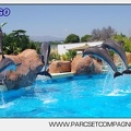 Marineland - Lagoon - Rencontre avec les dauphins - 6430