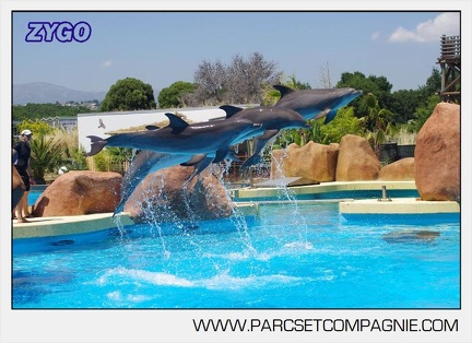 Marineland - Lagoon - Rencontre avec les dauphins - 6431