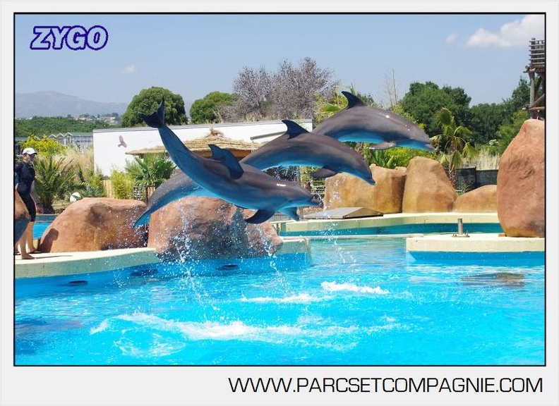 Marineland - Lagoon - Rencontre avec les dauphins - 6432