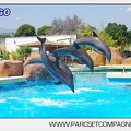 Marineland - Lagoon - Rencontre avec les dauphins - 6433