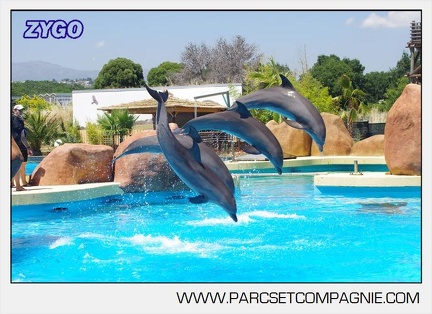 Marineland - Lagoon - Rencontre avec les dauphins - 6433