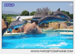 Marineland - Lagoon - Rencontre avec les dauphins - 6434