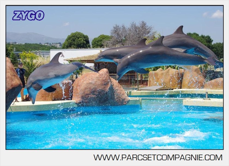 Marineland - Lagoon - Rencontre avec les dauphins - 6434