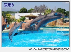 Marineland - Lagoon - Rencontre avec les dauphins - 6435