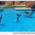 Marineland - Lagoon - Rencontre avec les dauphins - 6436
