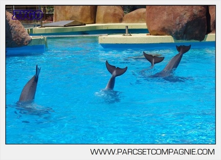 Marineland - Lagoon - Rencontre avec les dauphins - 6436