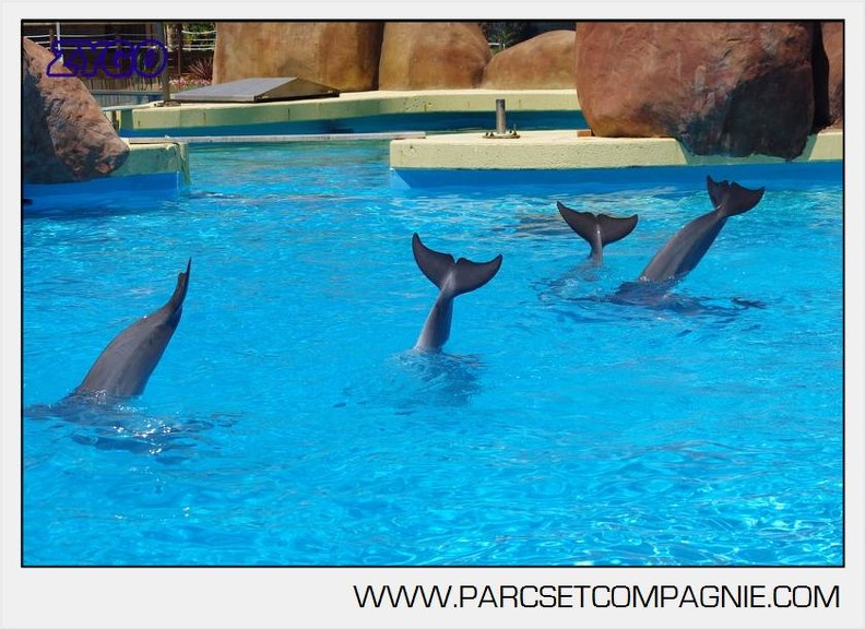 Marineland - Lagoon - Rencontre avec les dauphins - 6437