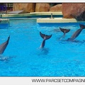 Marineland - Lagoon - Rencontre avec les dauphins - 6437