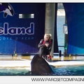 Marineland - Orques - Spectacle - 6534