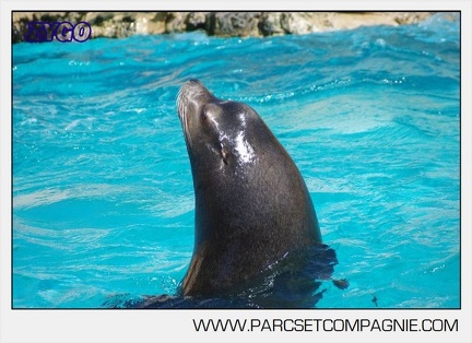 Marineland - Otaries - Portraits - 6633