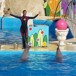 Marineland - Dauphins - Spectacle journee