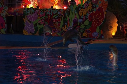 Marineland - Dauphins - Spectacle nocturne - 6926