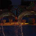 Marineland - Dauphins - Spectacle nocturne - 6930