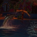 Marineland - Dauphins - Spectacle nocturne - 6933