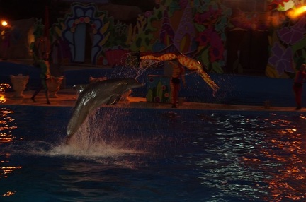 Marineland - Dauphins - Spectacle nocturne - 6933