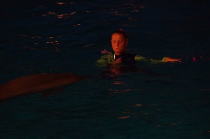 Marineland - Dauphins - Spectacle nocturne - 6935
