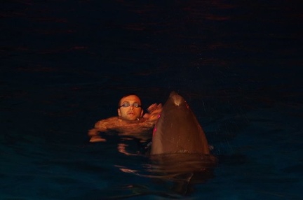 Marineland - Dauphins - Spectacle nocturne - 6946
