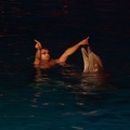 Marineland - Dauphins - Spectacle nocturne - 6952