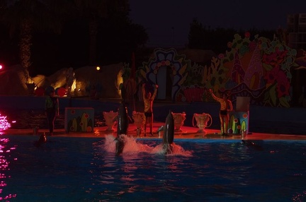 Marineland - Dauphins - Spectacle nocturne - 6956