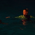 Marineland - Dauphins - Spectacle nocturne - 6958