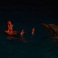 Marineland - Dauphins - Spectacle nocturne - 6961