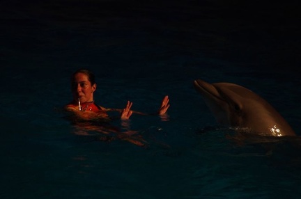 Marineland - Dauphins - Spectacle nocturne - 6961
