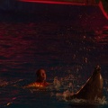 Marineland - Dauphins - Spectacle nocturne - 6966