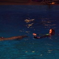 Marineland - Dauphins - Spectacle nocturne - 6967