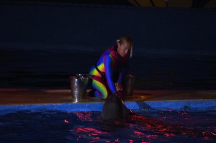Marineland - Dauphins - Spectacle nocturne - 6969