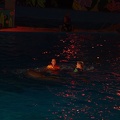 Marineland - Dauphins - Spectacle nocturne - 6970