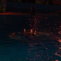 Marineland - Dauphins - Spectacle nocturne - 6971