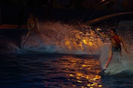 Marineland - Dauphins - Spectacle nocturne - 6974