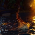 Marineland - Dauphins - Spectacle nocturne - 6975