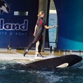 Marineland - Orques -Spectacle - 6996