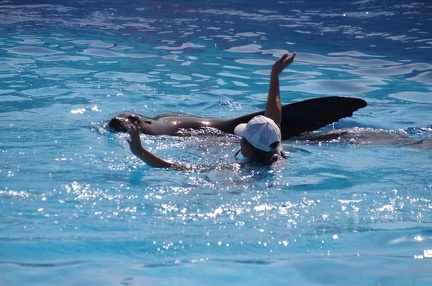 Marineland - Otaries - Spectacle - 7096