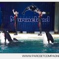 Marineland - Orques - Spectacle - 7264