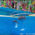 Marineland - Dauphins - Spectacle -15h30 - 0417