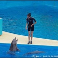Marineland - Dauphins - Spectacle -15h30 - 0419