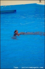 Marineland - Dauphins - Spectacle -15h30 - 0421