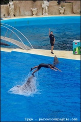 Marineland - Dauphins - Spectacle -15h30 - 0423
