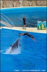 Marineland - Dauphins - Spectacle -15h30 - 0424