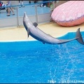 Marineland - Dauphins - Spectacle -15h30 - 0430