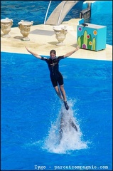 Marineland - Dauphins - Spectacle -15h30 - 0433