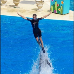 Marineland - Dauphins - Spectacle -15h30