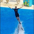 Marineland - Dauphins - Spectacle -15h30 - 0433